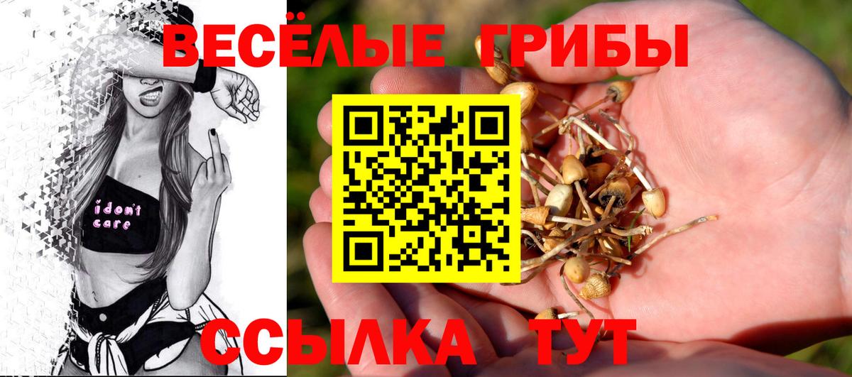 Галлюциногенные грибы Magic Shrooms  Вход с VPN  Дюртюли  Галлюциногенные грибы мицелий 